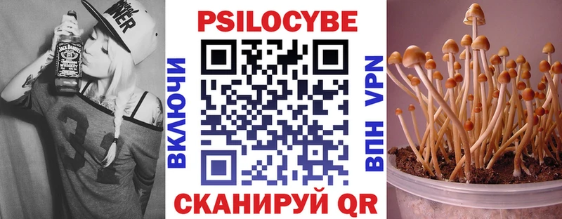 Псилоцибиновые грибы мухоморы Купить закладки Ейск